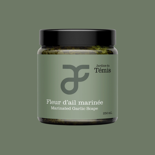 Pot de fleur d’ail marinée 250 mL des Jardins du Témis, produit québécois